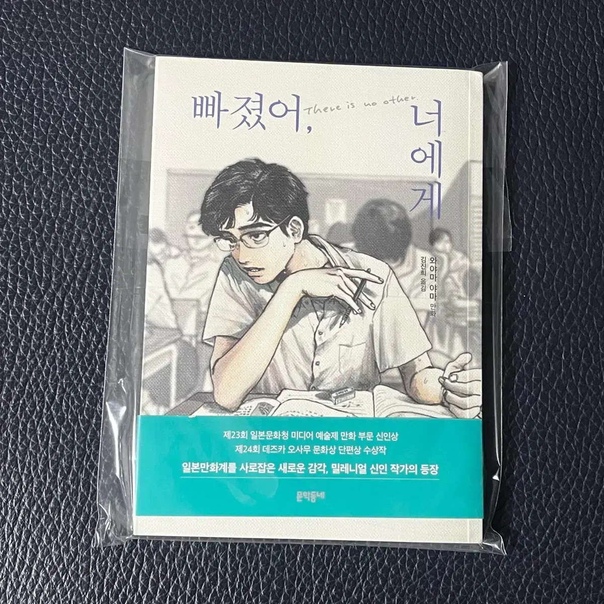 일본 순정만화 정발 웹툰 등