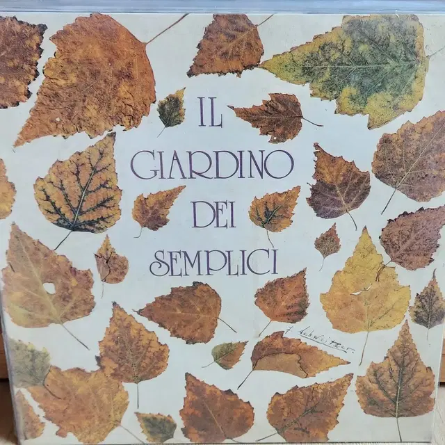 Il Giardino Dei Semplici, 시완LP