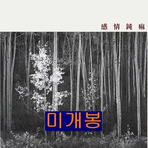 신해경 - 감정둔마 (미개봉, CD)