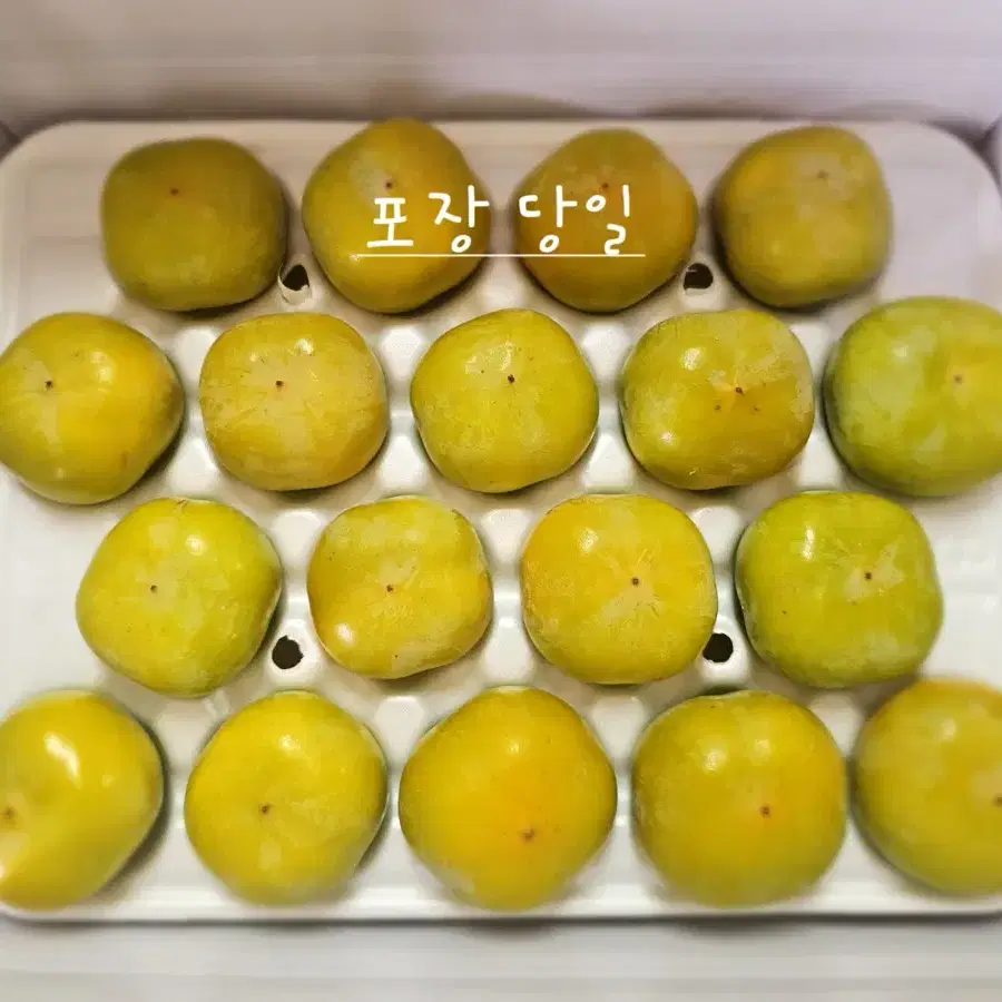 생산자 직거래 달콤한 청도 반시 5kg 무료배송