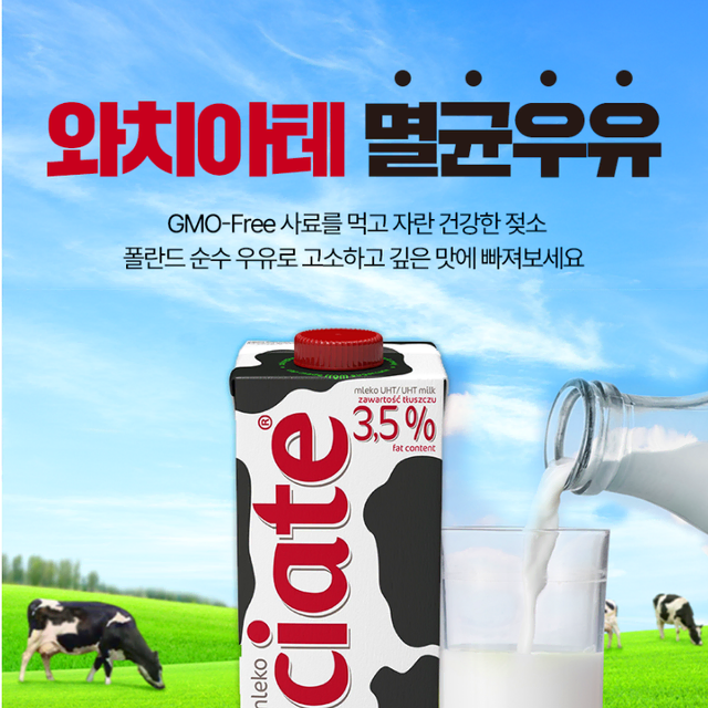 와치아테 멸균우유 1000ml 12개 유지방 3.5% 폴란드우유