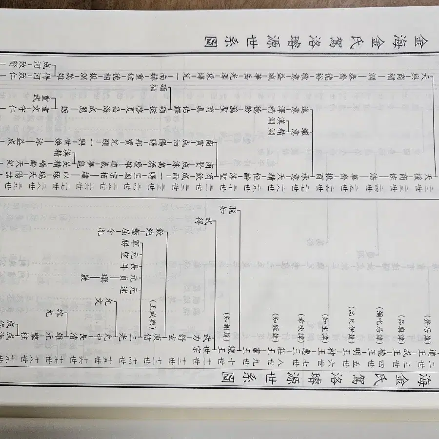 김해김씨 안경공파 족보책