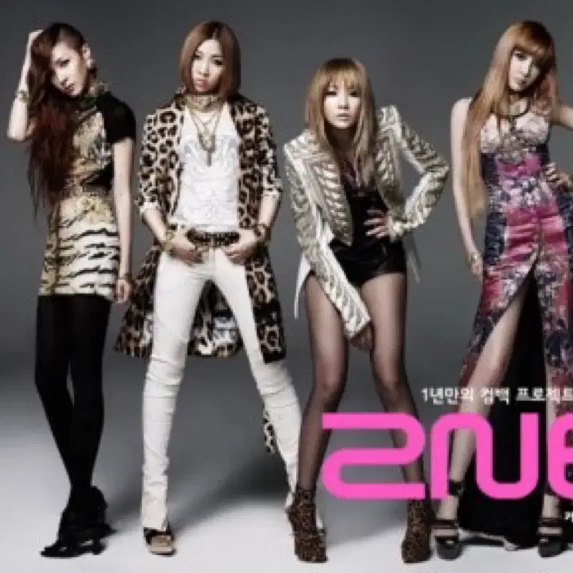 10/5 투애니원 2ne1 콘서트 티켓 판매(블랙 24*대)