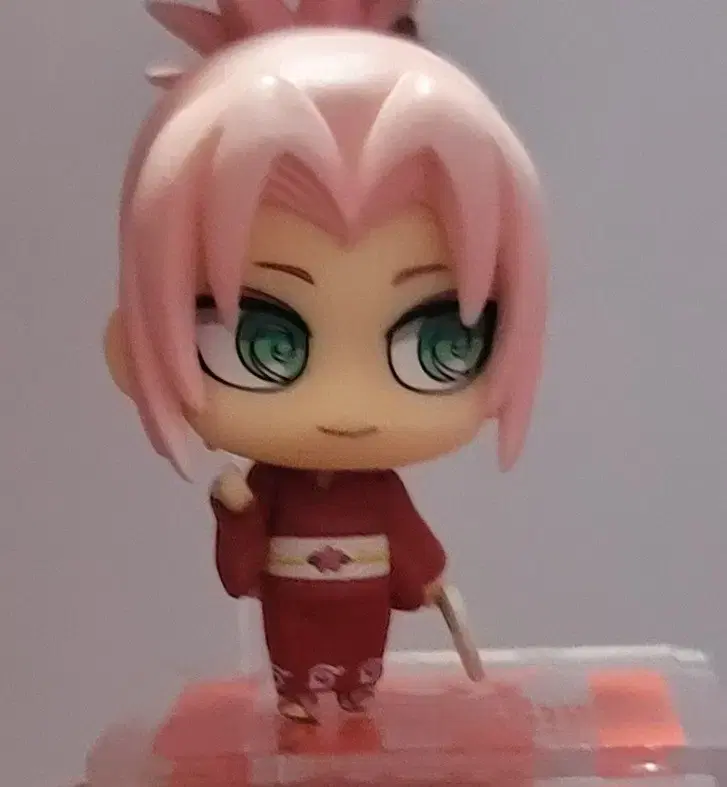 Naruto sakura PoochCarer