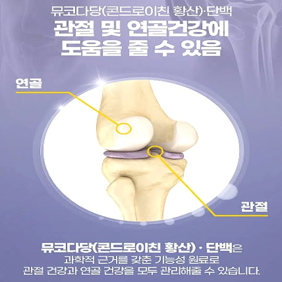 내츄럴플러스 관절엔 콘드로이친 뮤코다당단백 하루 1200 60정