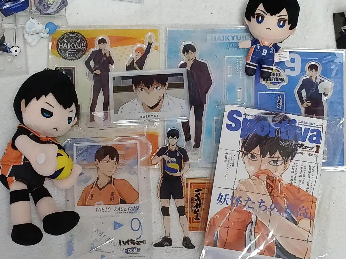 Tobio Kageyama acrylic Nui goods in bulk