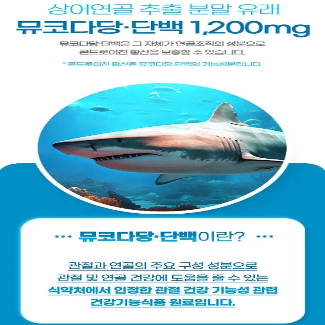 대원제약 관절엔 상어연골 뮤코다당단백 콘드로이친 플러스1200mg60정