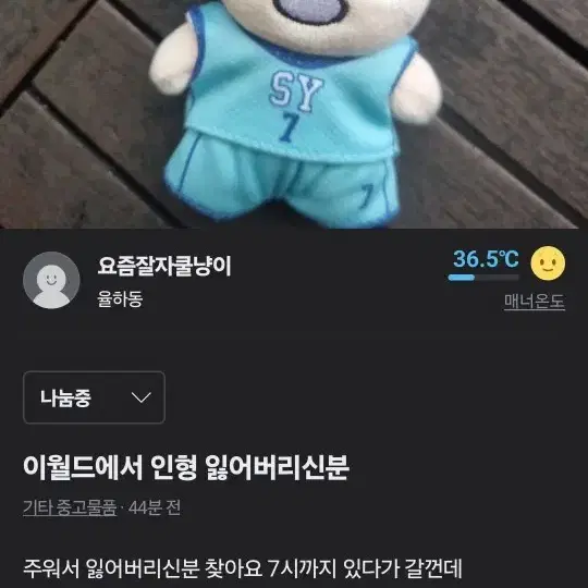 이월드에서 인형 잃어버리신분