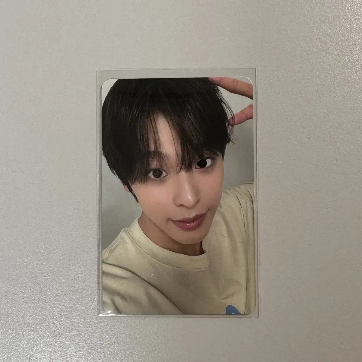 NCT wish pop up $50 photocard Riku