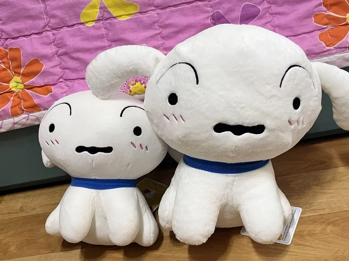 흰둥이 중형 25cm+대형 33cm 일괄