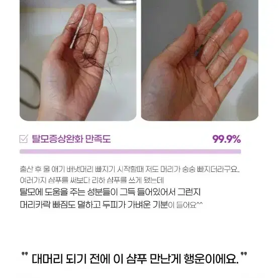 미개봉 새상품) 리하 스윙백 리올 샴푸 모링가