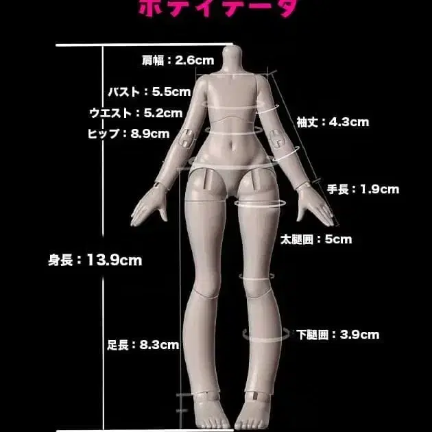 급전) 만번의 탈출계획 구체관절인형 넨도 오비츠11 롱바디