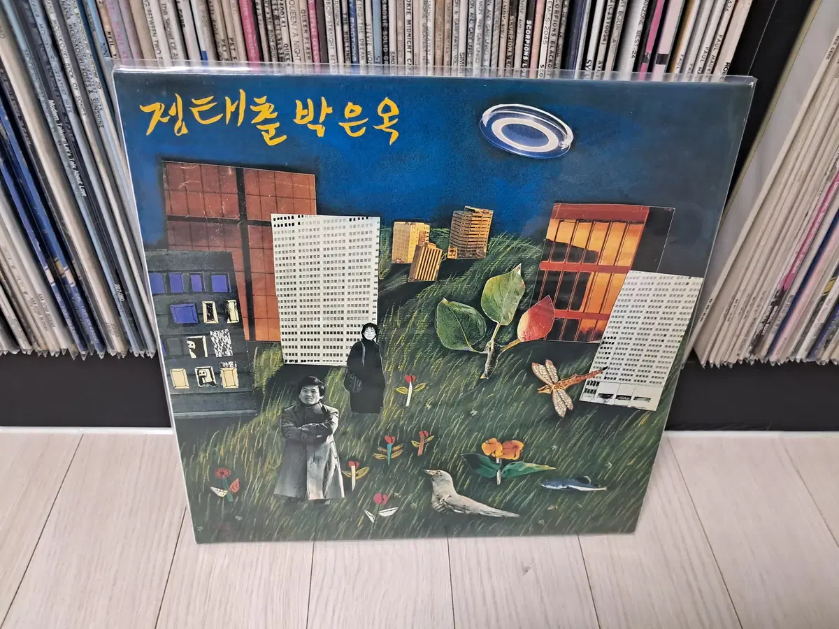 LP..정태춘,박은옥(1988년)