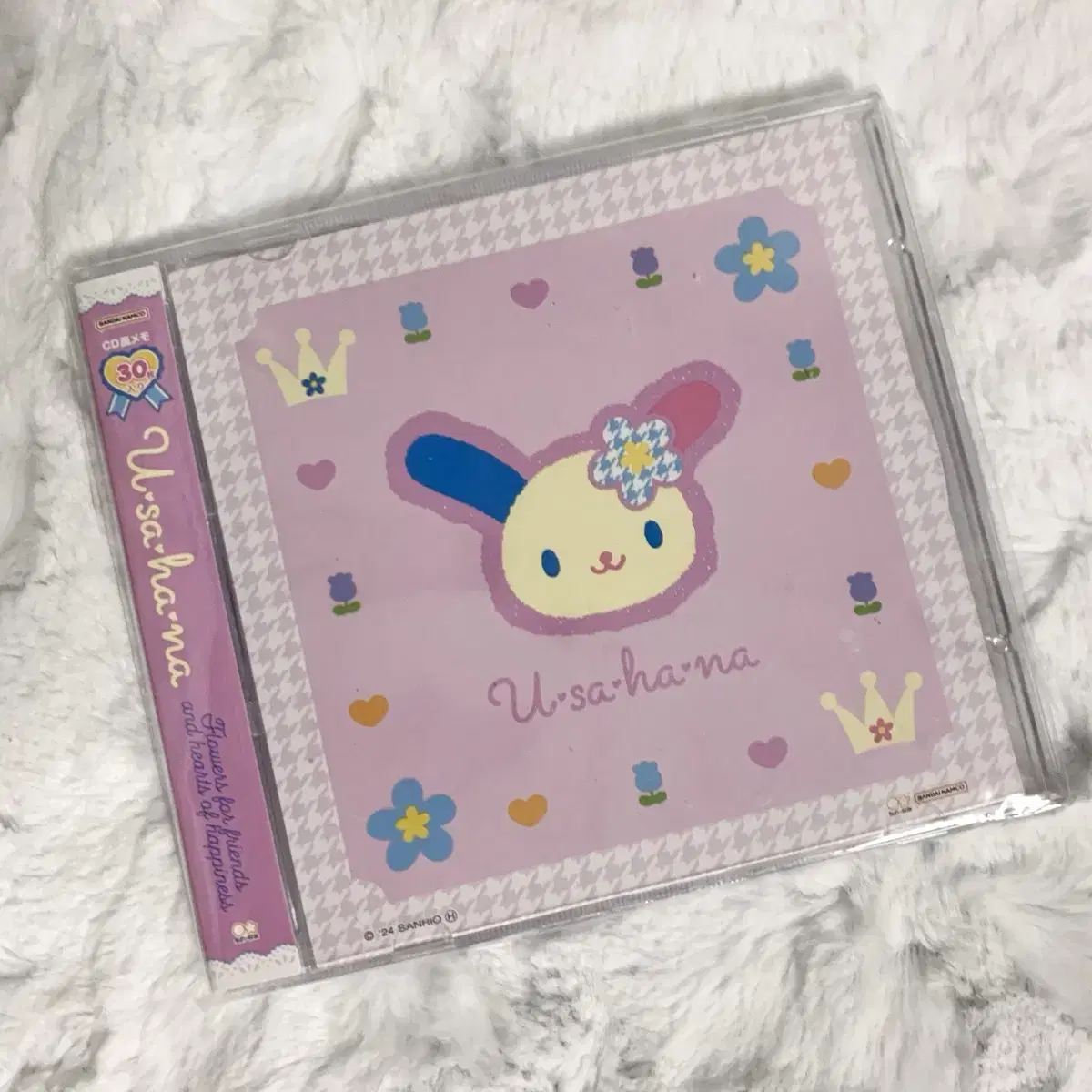 Sanrio Y2k Series Usahana CD Case Notepaper