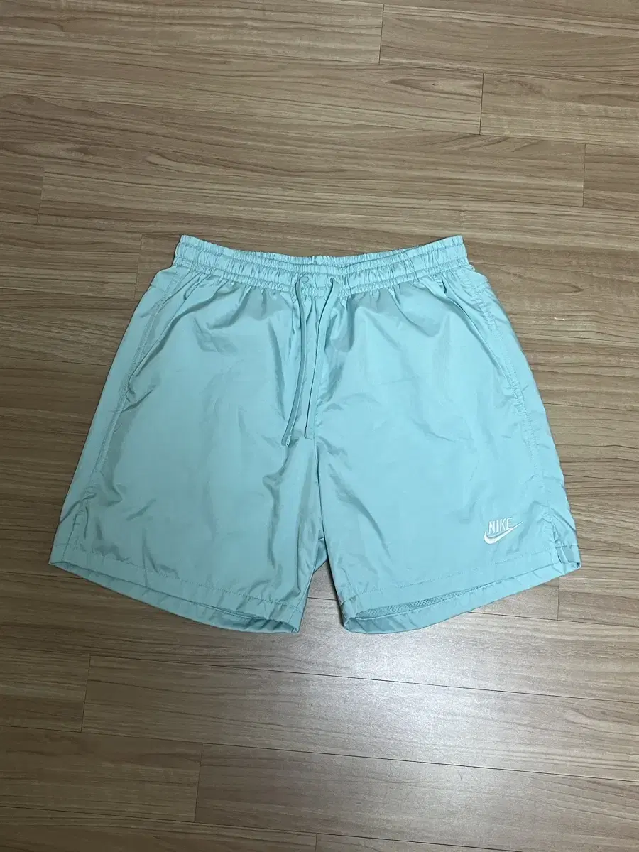 Nike Shorts (M)