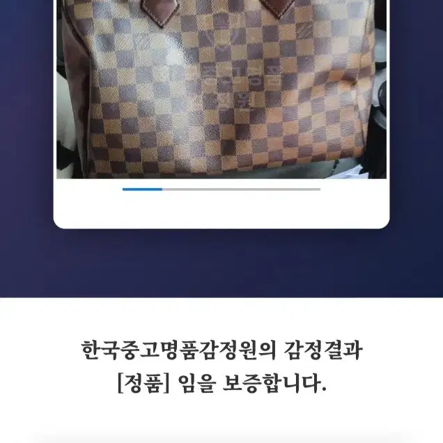 루이비통 다미에 스피디30 토트백