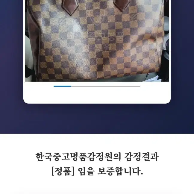 루이비통 다미에 스피디30 토트백