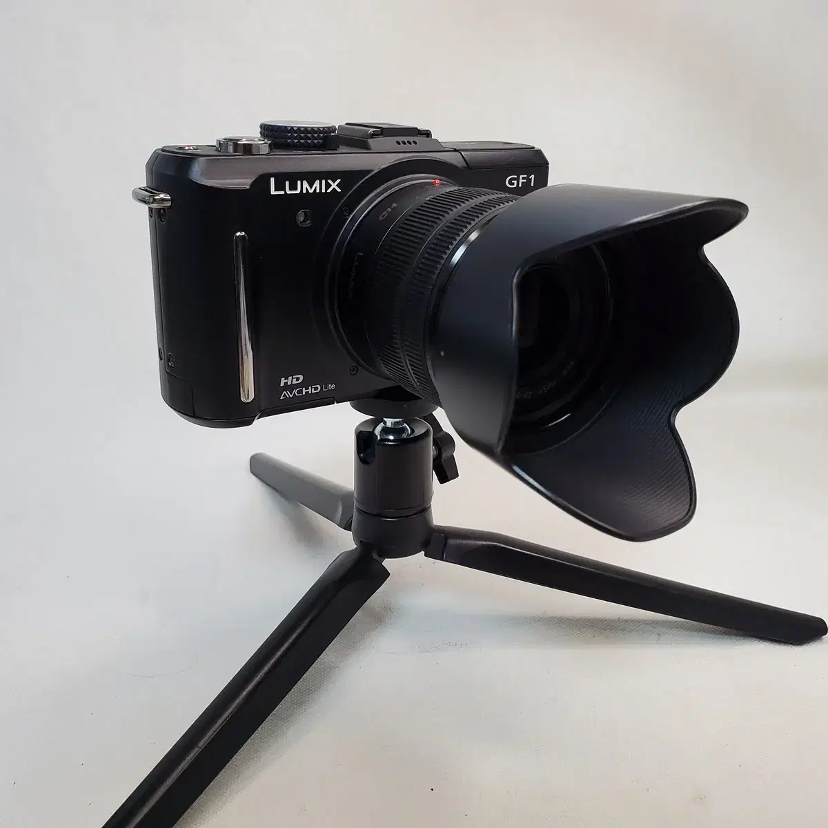 Panasonic Lumix GF1+G Vario Ashperical