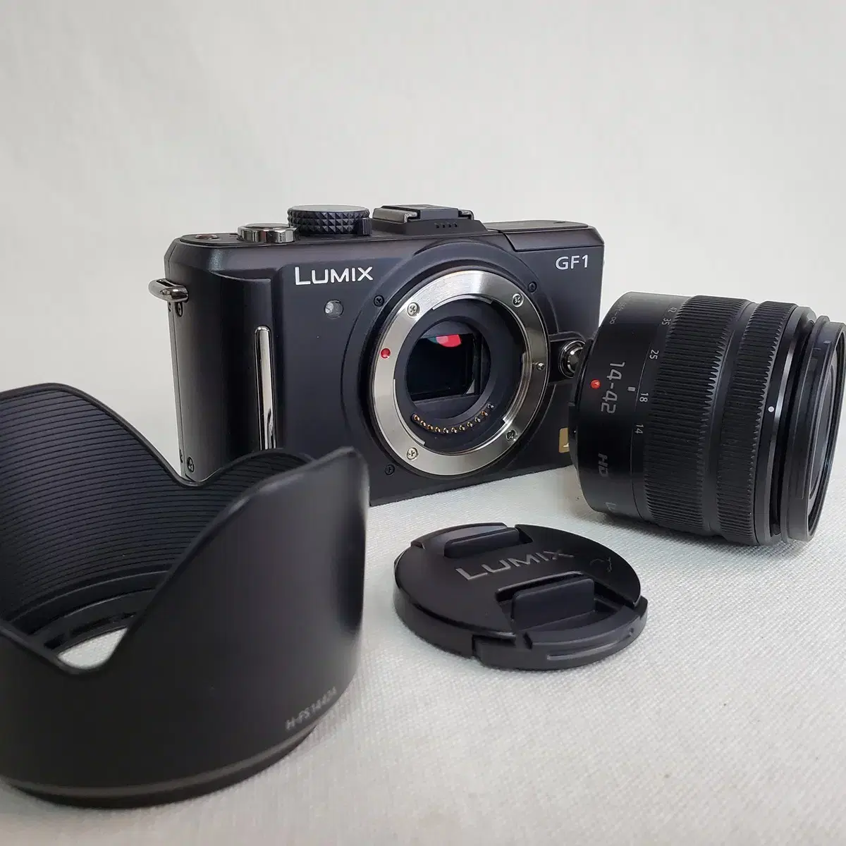 Panasonic Lumix GF1+G Vario Ashperical