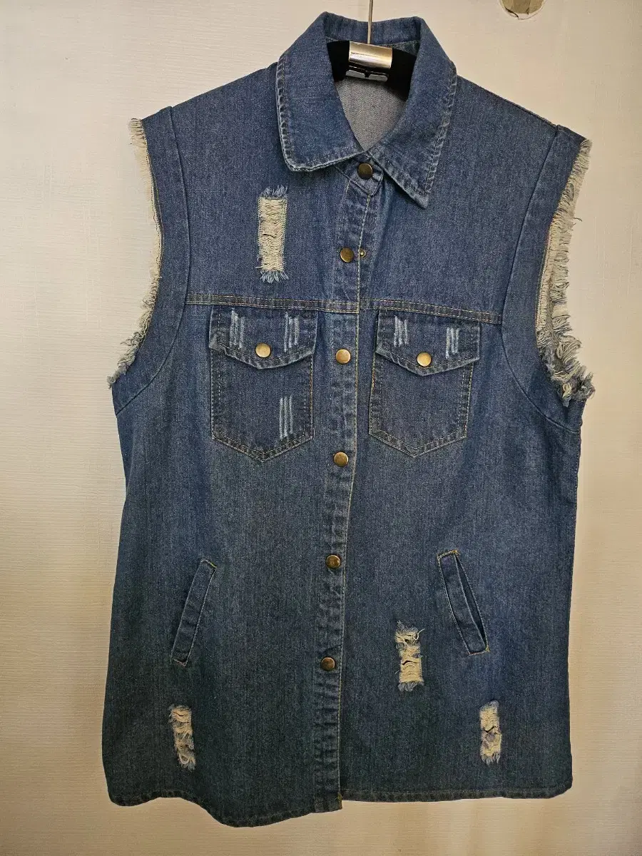 Blue Vest