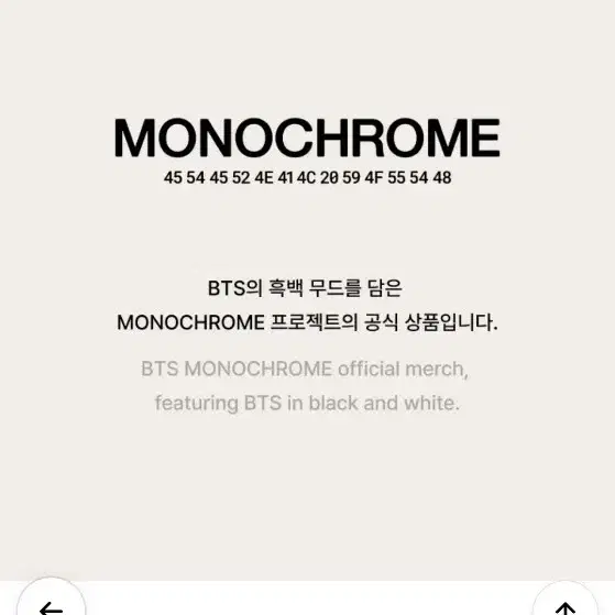 방탄소년단 모노크롬 스토리지박스 Monochrome Storage box