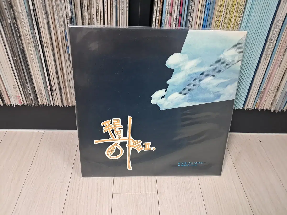 LP..푸른하늘2집(1989년)