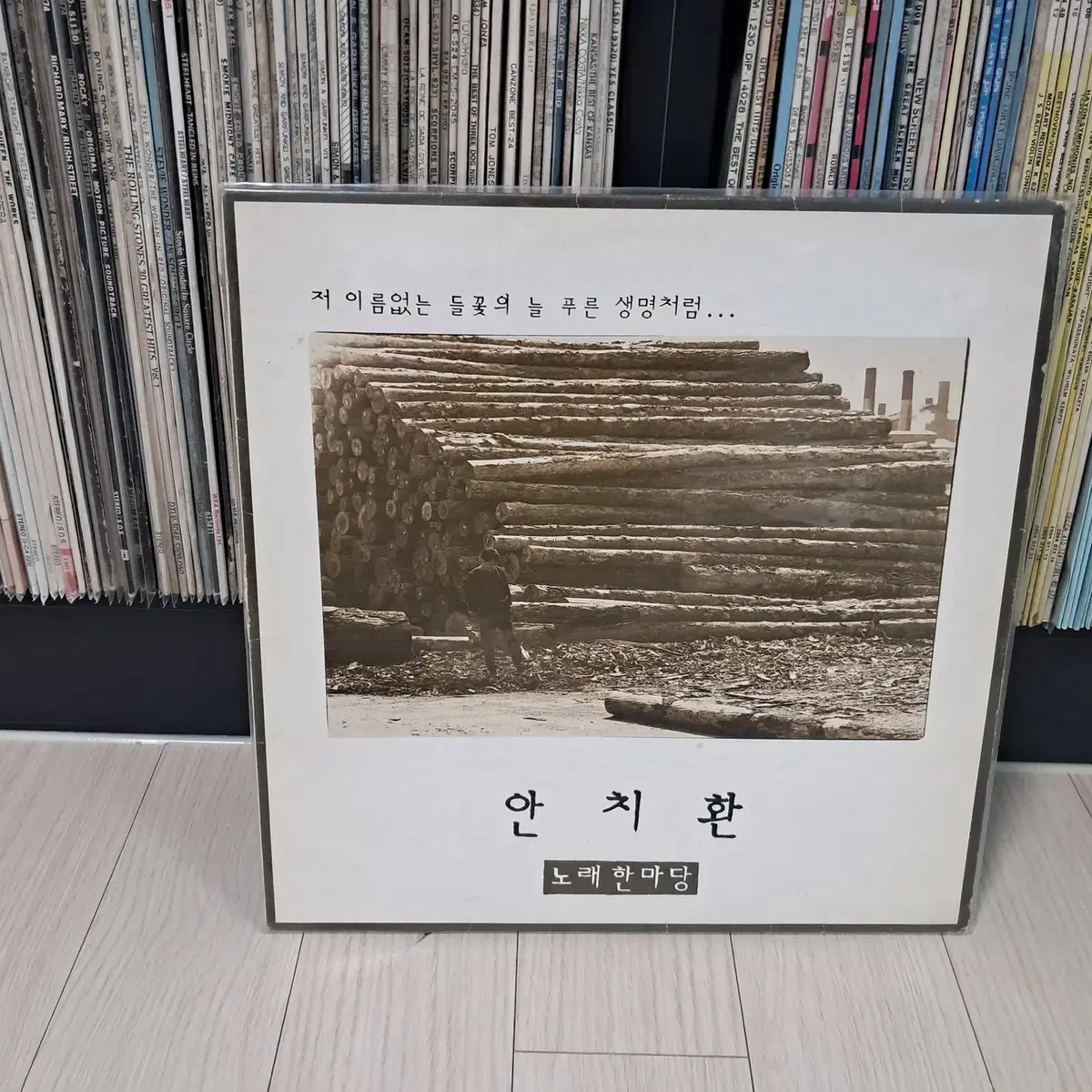 LP..안치환2집 초반(1991년)