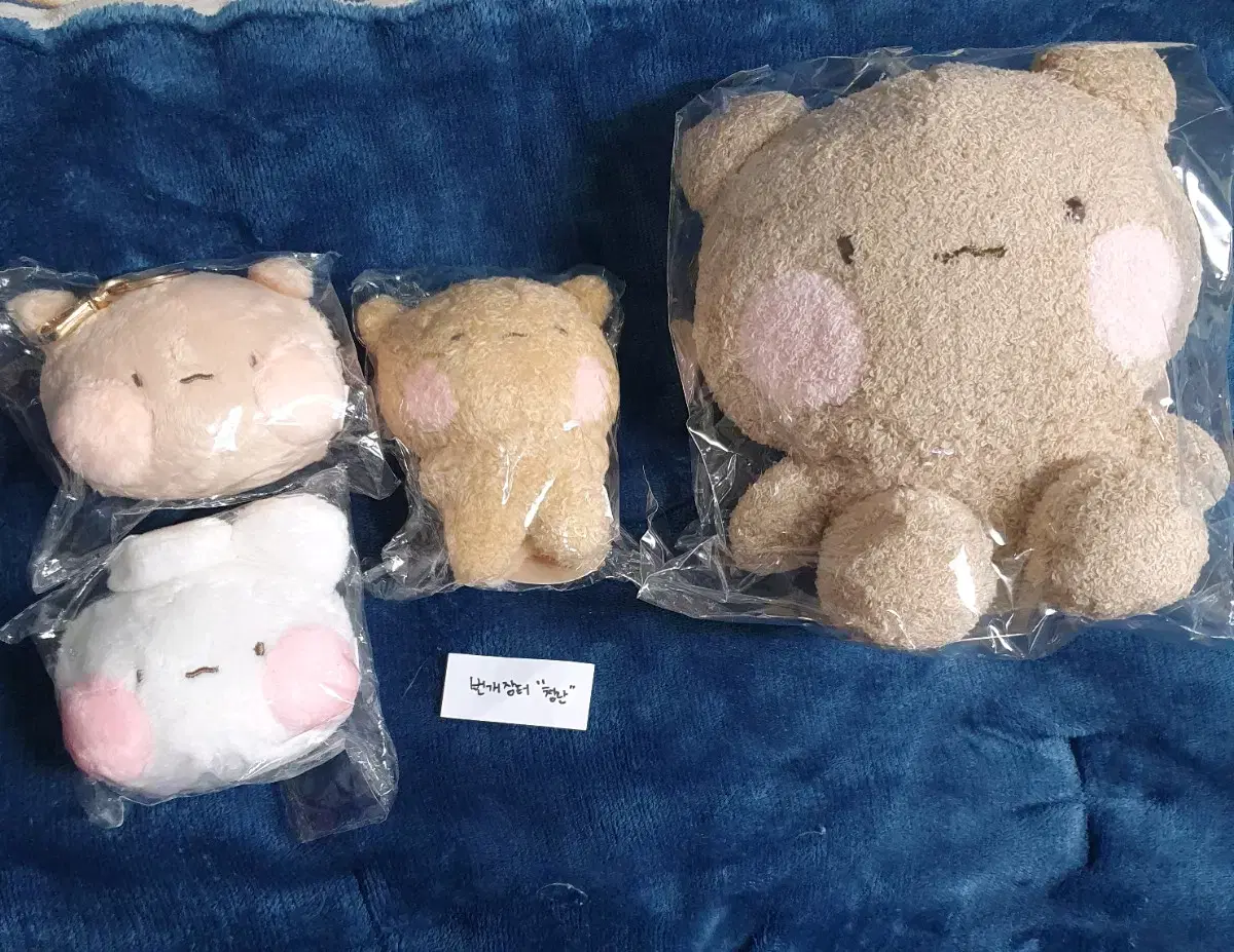 Toshim Tomung sealed doll bulk sells!