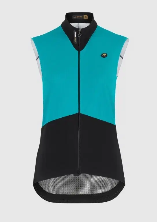 ASSOS Uma GTV Spring Pole Best C2 (new product)