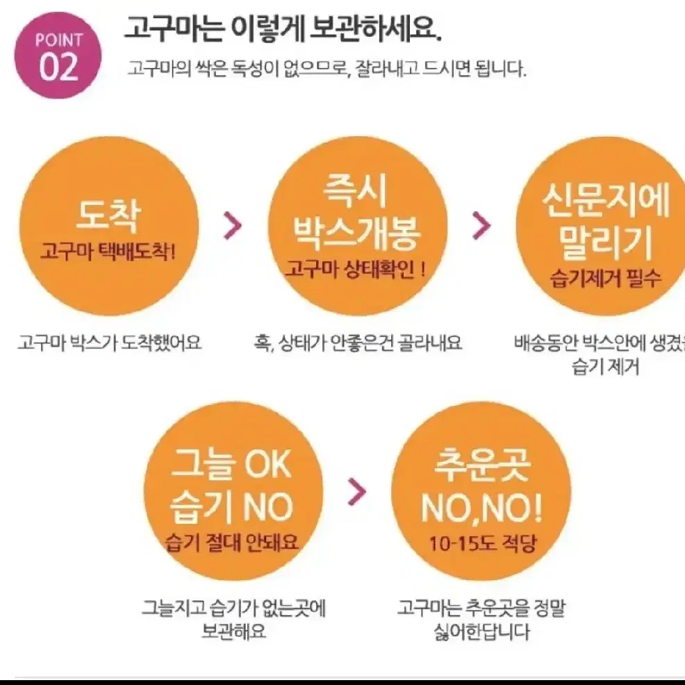 호박고구마 실속형