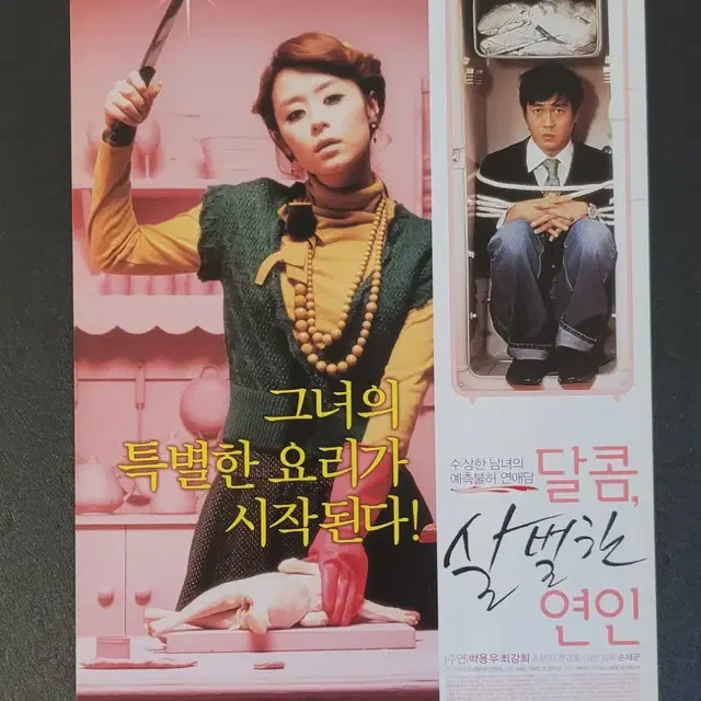 [영화팜플렛] 달콤 살벌한 연인 전단지 (2006) 박용우 최강희 조은지