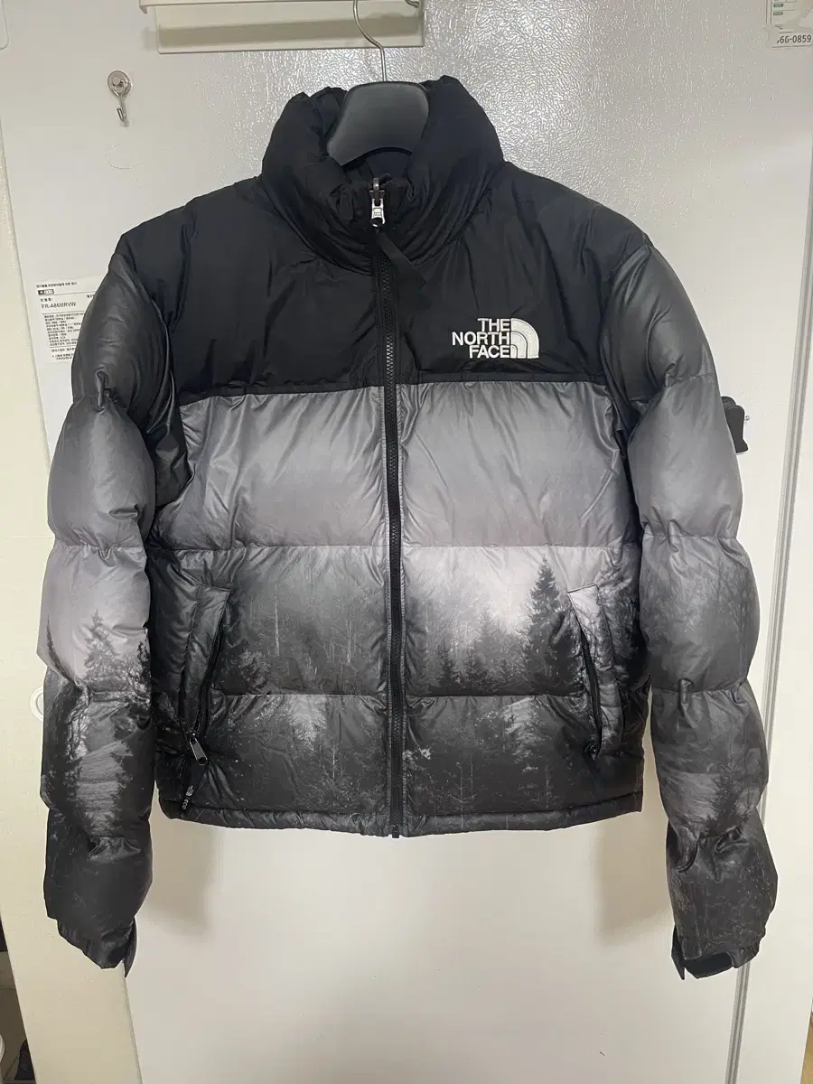 The North Face Knopsy Forest M