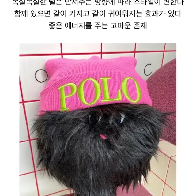 렐보브라운 인형