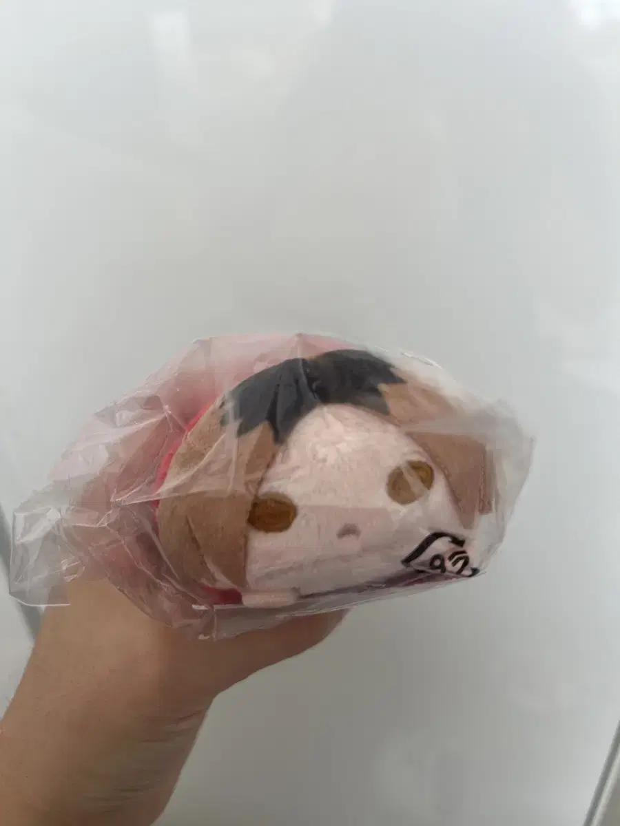 [Half-priced Delivery] haikyuu sells Kenma Tsutsumu no Lukyara