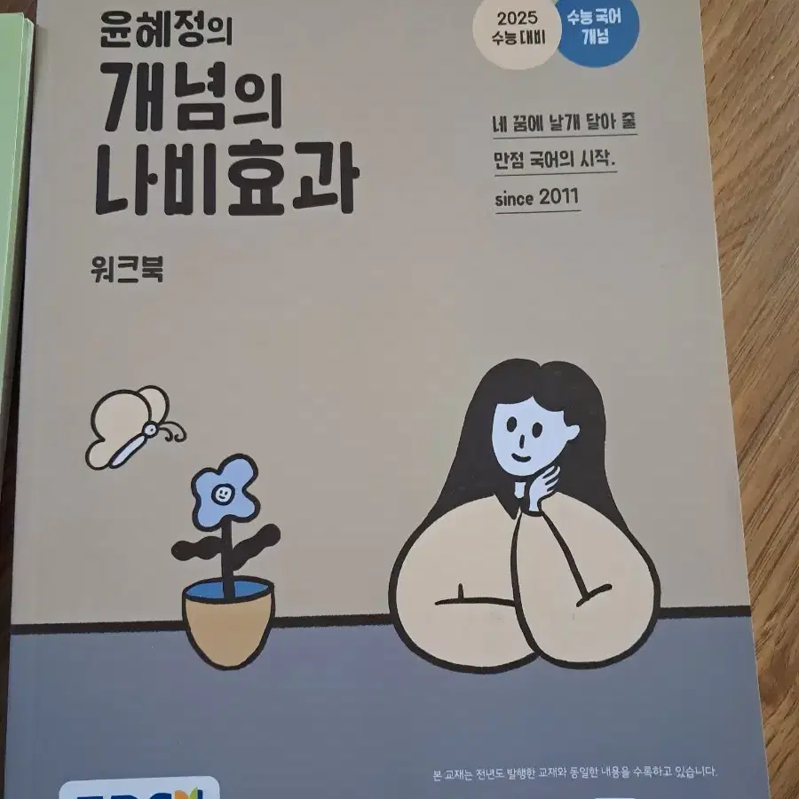 개념의 나비효과