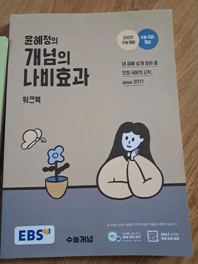 개념의 나비효과