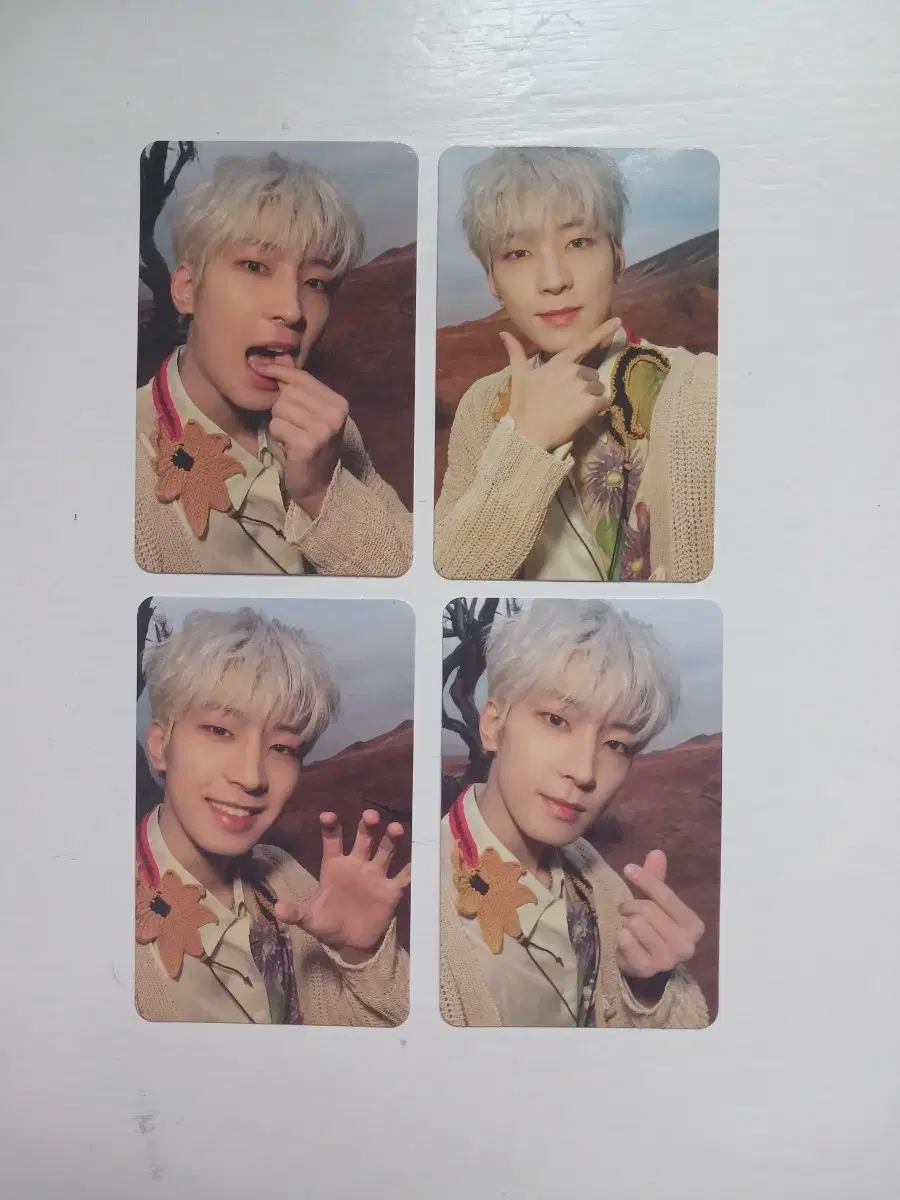 Seventeen jeon wonwoo FeatherSun Lay photocard WTS