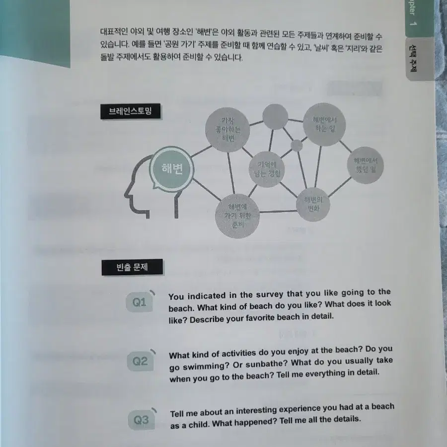 2주 정복 스파르따 OPIC 오픽 책