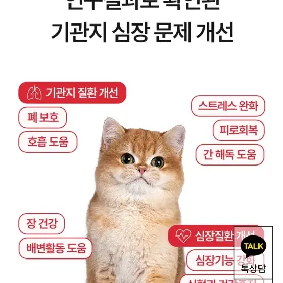 무배 고양이 영양제 8박스 엣츠 리포좀 마싯츄