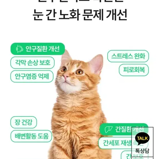 무배 고양이 영양제 8박스 엣츠 리포좀 마싯츄