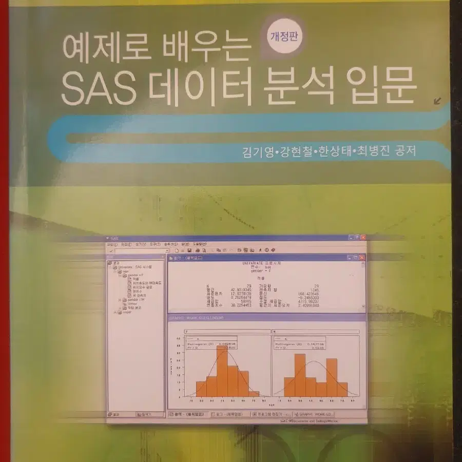 빅데이터 전공책