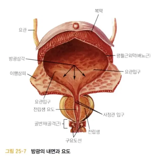 Czur 비파괴스캐너 ET 18 pro