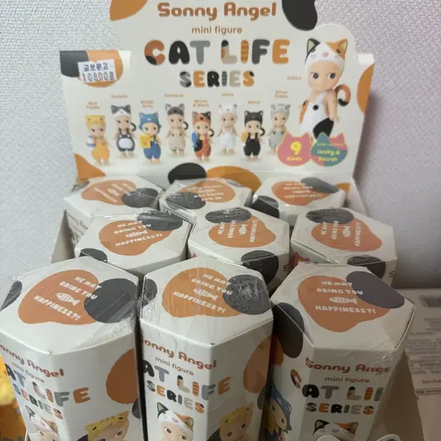 Cat Life캣 라이프 (박스)