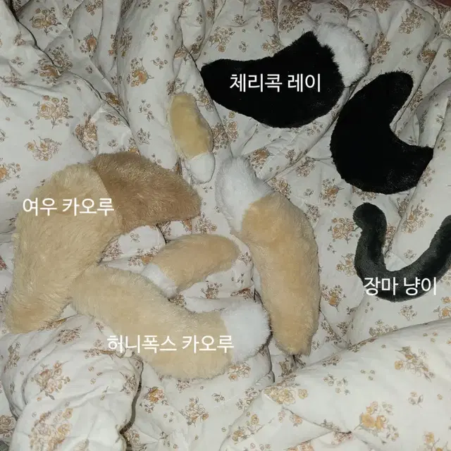 앙스타 레이 속성 인형 장마냥이 20cm