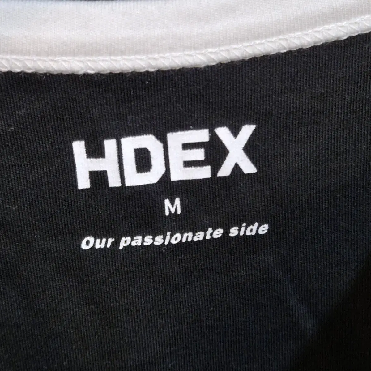 HDEX 크롭 반팔