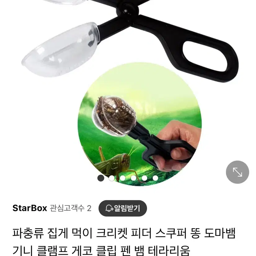 파충류 집게 먹이 크리켓 피더 스쿠퍼 도마뱀 기니 클램프 게코 클립