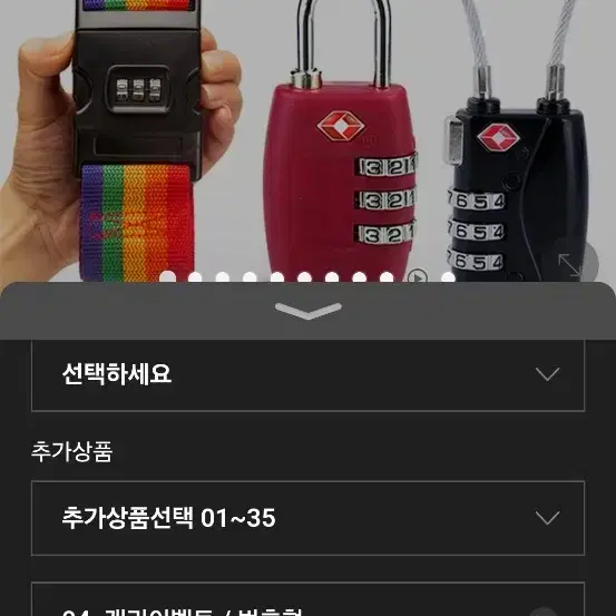 캐리어벨트