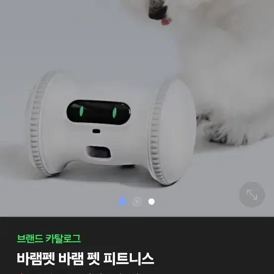 바램 펫 휘트니스