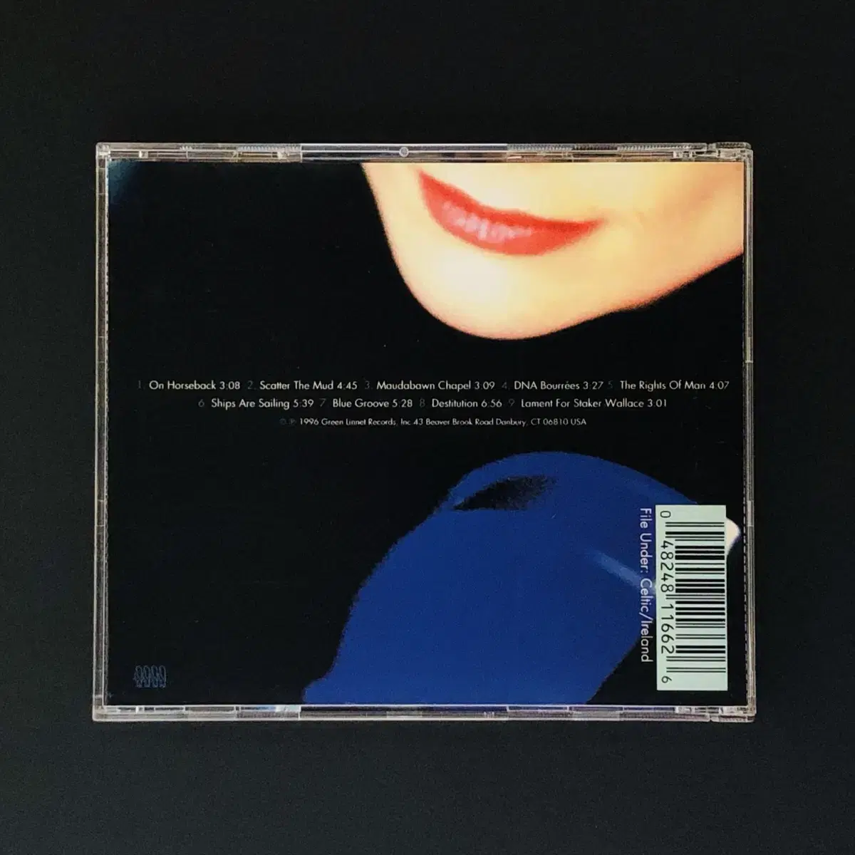 [CD중고] Eileen Ivers / Wild Blue