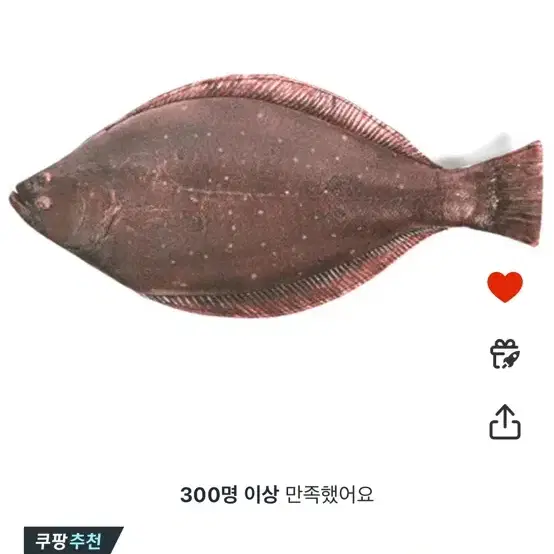 피쉬앤팬시 광어 물고기 필통